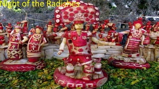 Night of the Radishes
 