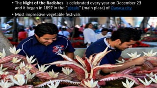 • The Night of the Radishes is celebrated every year on December 23
and it began in 1897 in the “zócalo” (main plaza) of Oaxaca city
• Most impressive vegetable festivals
 