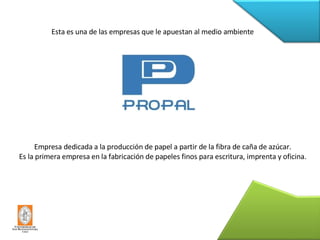 Esta es una de las empresas que le apuestan al medio ambiente Empresa dedicada a la producción de papel a partir de la fibra de caña de azúcar. Es la primera empresa en la fabricación de papeles finos para escritura, imprenta y oficina. 
