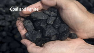 Coal and lignite
 