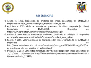 REFERENCIAS
 Acuña, H. 1992. Producción de praderas (en línea). Consultado el: 14/11/2013.
Disponible en: http://www.chileanjar.cl/files/V55I2A07_es.pdf
 Agribiotech. 2013. Guía de manejo de gramíneas de clima templado (en línea).
Consultado
el:
13/11/2013.
Disponible
en:
http://www.agribiotech.com.mx/folletos/Alta%20Fescue.pdf
 Anthos, E. 2007. Festuca arundinacea (en línea). Consultado el: 14/11/2013. Disponible
en: http://www.unavarra.es/herbario/pratenses/htm/Fest_arun_p.htm
 Carulla, J. 2006. Valor nutricional de los forrajes (en línea). Consultado el: 15/11/2013.
Disponible
en:
http://www.virtual.unal.edu.co/cursos/veterinaria/mtria_prod/2006527/und_0/pdf/val
or_nutricional_de_los_forrajes_en_colombia.pdf
 Delegans, C. 2013. Variedades de festuca alta y tipos de césped (en línea). Consultado el:
15/11/2013. Disponible en: http://www.ehowenespanol.com/variedades-festuca-altatipos-cesped-info_229418/

 