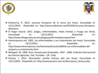  Echeverría, R. 2013. recursos forrajeros de la sierra (en línea). Consultado el:
15/11/2013. Disponible en: http://www.slideshare.net/PUCESI/recursos-forrajerosdelasierra
 El hogar natural. 2011. plagas, enfermedades, malas hierbas y musgo (en línea).
Consultado
el:
13/11/2013.
Disponible
en:
http://www.elhogarnatural.com/plagasyenfermedadescesped.htm
 Interempresas.net. 2002. Las enfermedades y sus tratamientos (en línea). Consultado
el:
14/11/2013.
Disponible
en:
http://www.interempresas.net/Horticola/Articulos/68916-Las-enfermedades-delcesped-y-su-tratamiento.html
 Malugani, M. 1968. Tesis. Escuela para Graduados. 1947 - 1968. Instituto Internacional
de Ciencias Agrícolas. 2ed. Turrialba – CR. 114p
 Picasso, J. 2011. Descripción semilla Festuca alta (en línea). Consultado el:
13/11/2013. Disponible en: http://www.picasso.com.ar/descripcion_festuca.php

 
