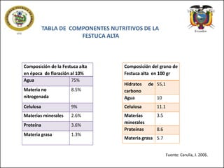 TABLA DE COMPONENTES NUTRITIVOS DE LA
FESTUCA ALTA

Composición de la Festuca alta
en época de floración al 10%
Agua
75%

Composición del grano de
Festuca alta en 100 gr

Hidratos
carbono
Agua

de 55,1

Materia no
nitrogenada

8.5%

Celulosa

9%

Celulosa

11.1

Materias minerales

2.6%

3.5

Proteína

3.6%

Materias
minerales
Proteínas

Materia grasa

1.3%

10

8.6

Materia grasa 5.7
Fuente: Carulla, J. 2006.

 