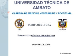 UNIVERSIDAD TÉCNICA DE
AMBATO
CARRERA DE MEDICINA VETERINARIA Y ZOOTECNIA

FORRAJICULTURA
ECUADOR

U.T.A

Festuca Alta (Festuca arundinácea)

AMBATO-ECUADOR

Garcés Xiomara

 