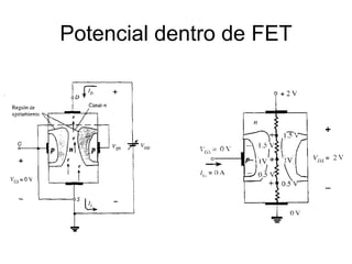 Potencial dentro de FET
 