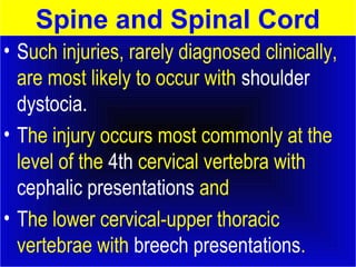 Spine and Spinal Cord 
• Such injuries, rarely diagnosed clinically, 
are most likely to occur with shoulder 
dystocia. 
• The injury occurs most commonly at the 
level of the 4th cervical vertebra with 
cephalic presentations and 
• The lower cervical-upper thoracic 
vertebrae with breech presentations. 
 
