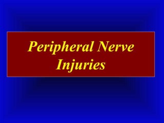 Peripheral Nerve 
Injuries 
 