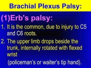 Brachial Plexus Palsy: 
(1)Erb's palsy: 
1. It is the common, due to injury to C5 
and C6 roots. 
2. The upper limb drops beside the 
trunk, internally rotated with flexed 
wrist 
(policeman’s or waiter’s tip hand). 
 