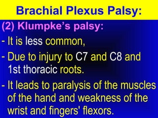Brachial Plexus Palsy: 
(2) Klumpke’s palsy: 
- It is less common, 
- Due to injury to C7 and C8 and 
1st thoracic roots. 
- It leads to paralysis of the muscles 
of the hand and weakness of the 
wrist and fingers' flexors. 
 