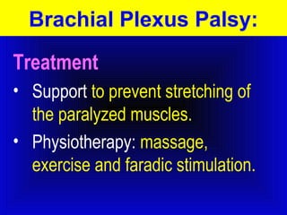 Brachial Plexus Palsy: 
Treatment 
• Support to prevent stretching of 
the paralyzed muscles. 
• Physiotherapy: massage, 
exercise and faradic stimulation. 
 