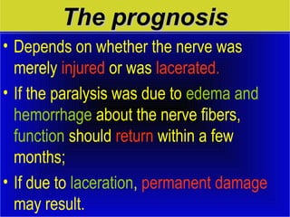 TThhee pprrooggnnoossiiss 
• Depends on whether the nerve was 
merely injured or was lacerated. 
• If the paralysis was due to edema and 
hemorrhage about the nerve fibers, 
function should return within a few 
months; 
• If due to laceration, permanent damage 
may result. 
 