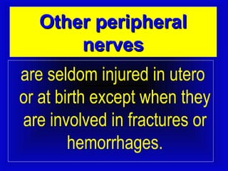 OOtthheerr ppeerriipphheerraall 
nneerrvveess 
are seldom injured in utero 
or at birth except when they 
are involved in fractures or 
hemorrhages. 
 