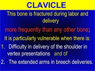CLAVICLE 
This bone is fractured during labor and 
delivery 
more frequently than any other bone; 
It is particularly vulnerable when there is: 
1. Difficulty in delivery of the shoulder in 
vertex presentations and of 
2. The extended arms in breech deliveries. 
 