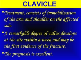 CLAVICLE 
•Treatment, consists of immobilization 
of the arm and shoulder on the affected 
side. 
•A remarkable degree of callus develops 
at the site within a week and may be 
the first evidence of the fracture. 
•The prognosis is excellent. 
 