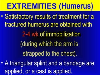 EXTREMITIES (Humerus) 
• Satisfactory results of treatment for a 
fractured humerus are obtained with 
2-4 wk of immobilization 
(during which the arm is 
strapped to the chest). 
• A triangular splint and a bandage are 
applied, or a cast is applied. 
 