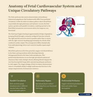 Fetal-Circulation-and-Transition-to-Newborn.pdf