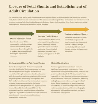 Fetal-Circulation-and-Transition-to-Newborn.pdf