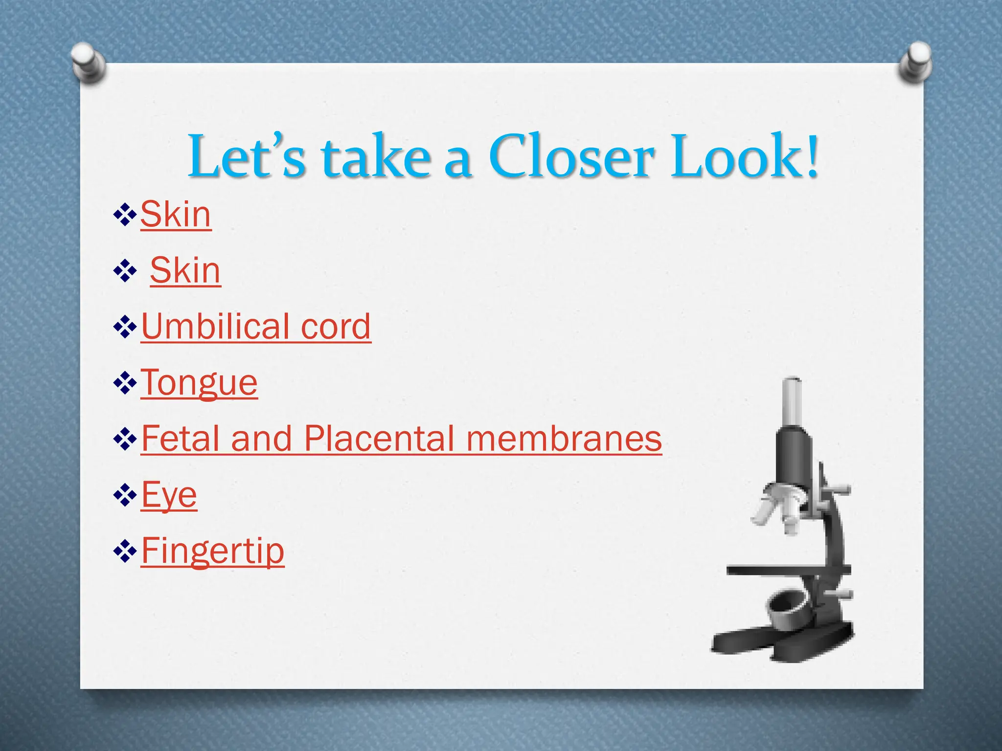 Let’s take a Closer Look!
❖Skin
❖ Skin
❖Umbilical cord
❖Tongue
❖Fetal and Placental membranes
❖Eye
❖Fingertip
 