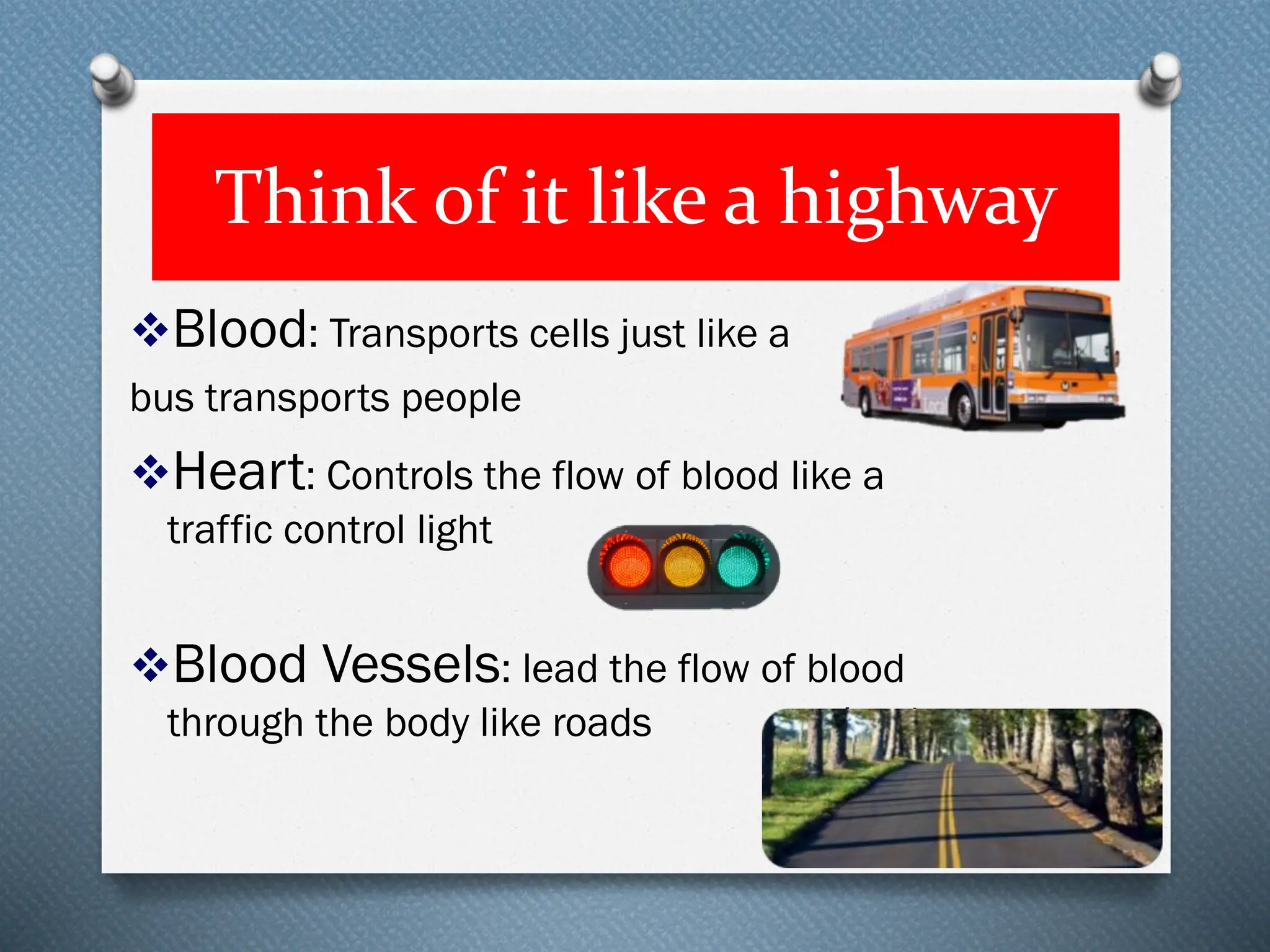 Think of it like a highway
❖Blood: Transports cells just like a
bus transports people
❖Heart: Controls the flow of blood like a
traffic control light
❖Blood Vessels: lead the flow of blood
through the body like roads lead
 