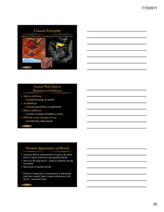 7/19/2011




                   Cloacal Exstrophy
Omphalocele & bladder extrophy with prolapsed ileum between the two bladder halves




  Fetal Abdomen




                  Ventral Wall Defects
                  Relation to Umbilicus
• Above umbilicus
    – Consider pentalogy of cantrell
• At umbilicus
    – C id gastroschisis or omphalocele
      Consider     hi i        h l l
• Below umbilicus
    – Consider exstrophy of bladder or cloaca
• Difficult to tell because of size
    – Consider body stalk anomaly

  Fetal Abdomen




       Normal Appearance of Bowel
• Amniotic fluid is swallowed & as it gets to the small
  bowel it mixes with bowel mucopolysaccharide
• Moves to the large bowel – water is resorbed, leaving
  meconium
• Meconium is expelled at birth

• If there is obstruction or if meconium is abnormally
  thick that wouldn’t pass it causes obstruction in the
  bowel – meconium ileus

  Fetal Abdomen




                                                                                           20
 