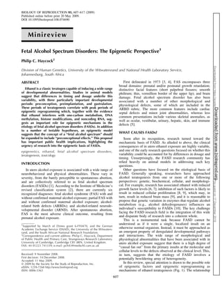 BIOLOGY OF REPRODUCTION 81, 607–617 (2009)
Published online before print 20 May 2009.
DOI 10.1095/biolreprod.108.074690
Minireview
Fetal Alcohol Spectrum Disorders: The Epigenetic Perspective1
Philip C. Haycock2
Division of Human Genetics, University of the Witwatersrand and National Health Laboratory Service,
Johannesburg, South Africa
ABSTRACT
Ethanol is a classic teratogen capable of inducing a wide range
of developmental abnormalities. Studies in animal models
suggest that differences in timing and dosage underlie this
variability, with three particularly important developmental
periods: preconception, preimplantation, and gastrulation.
These periods of teratogenesis correlate with peak periods of
epigenetic reprogramming which, together with the evidence
that ethanol interferes with one-carbon metabolism, DNA
methylation, histone modifications, and noncoding RNA, sug-
gests an important role for epigenetic mechanisms in the
etiology of fetal alcohol spectrum disorders (FASDs). In addition
to a number of testable hypotheses, an epigenetic model
suggests that the concept of a ‘‘fetal alcohol spectrum’’ should
be expanded to include ‘‘preconceptional effects.’’ This proposal
has important public health implications, highlighting the
urgency of research into the epigenetic basis of FASDs.
epigenetics, ethanol, fetal alcohol spectrum disorders,
teratogenesis, toxicology
INTRODUCTION
In utero alcohol exposure is associated with a wide range of
neurobehavioral and physical abnormalities. These vary in
severity, from the barely perceptible to spontaneous abortion,
and are collectively referred to as fetal alcohol spectrum
disorders (FASDs) [1]. According to the Institute of Medicine’s
revised classification system [2], there are currently six
recognized diagnoses: fetal alcohol syndrome (FAS) with and
without confirmed maternal alcohol exposure; partial FAS with
and without confirmed maternal alcohol exposure; alcohol-
related birth defects (ARBDs); and alcohol-related neurode-
velopmental disorder (ARND). After spontaneous abortion,
FAS is the most adverse clinical outcome, resulting from
prenatal alcohol exposure.
First delineated in 1973 [3, 4], FAS encompasses three
broad domains: prenatal and/or postnatal growth retardation;
distinctive facial features (short palpebral fissures; smooth
philtrum; thin, vermillion border of the upper lip); and brain
damage. Fetal alcohol spectrum disorder has also been
associated with a number of other morphological and
physiological defects, some of which are included in the
ARBD rubric. The more common features include cardiac
septal defects and minor joint abnormalities, whereas less
common presentations include various skeletal anomalies, as
well as ocular, vestibular, urinary, hepatic, skin, and immune
defects [5].
WHAT CAUSES FASDs?
Soon after its recognition, research turned toward the
mechanistic basis of FASD. As alluded to above, the clinical
consequences of in utero ethanol exposure are highly variable,
and one of the early research questions focused on whether this
variability could be accounted for by differences in dosage and
timing. Unsurprisingly, the FASD research community has
relied heavily on animal models in addressing such key
questions.
Other questions have focused on the etiological basis of
FASD. Generally speaking, researchers have approached
alcohol teratogenesis from one or more of the following
perspectives: genetic, biochemical, cellular, and morphologi-
cal. For example, research has associated ethanol with reduced
growth factor levels [6, 7]; inhibition of such factors is likely to
result in reduced cellular proliferation [8, 9], which may, in
turn, result in reduced brain mass [9], and it is reasonable to
propose that genetic variation in enzymes that regulate alcohol
metabolism (e.g., alcohol dehydrogenases) influences an
individual’s susceptibility to FASDs [10]. The key challenge
facing the FASD research field is the integration of this wide
and disparate body of research into a coherent whole.
This is a monumental task because FASD cannot be
understood as if it were a single, localized insult on an
otherwise normal organism. Instead, it must be approached as
an emergent property of deregulated developmental pathways
and interactions. The wide range of morphological and
physiological abnormalities that have been associated with in
utero alcohol exposure suggest that there is a high degree of
‘‘causal fan out’’ from the primary insults at the molecular and
cellular levels to the defects observed at the clinical level. This,
in turn, suggests that the etiology of FASD involves a
potentially bewildering array of heterogeneity.
In this review, special attention is drawn to the possible role
of epigenetic factors and epigenetic reprogramming as
mechanisms of ethanol teratogenesis (Fig. 1). The relationship
1
Supported by March of Dimes grant 6-FY0470, and the German
Academic Exchange Service (DAAD), the University of the Witwaters-
rand, and the South African National Research Foundation.
2
Correspondence and current address: Philip C. Haycock, Department
of Public Health and Primary Care, Strangeways Research Laboratory,
University of Cambridge, Cambridge CB1 8RN, United Kingdom.
FAX: 44 01223 741339; e-mail: pch43@medschl.cam.ac.uk
Received: 9 November 2008.
First decision: 14 December 2008.
Accepted: 11 May 2009.
Ó 2009 by the Society for the Study of Reproduction, Inc.
eISSN: 1259-7268 http://www.biolreprod.org
ISSN: 0006-3363
607
Downloadedfromwww.biolreprod.org.Downloadedfromhttps://academic.oup.com/biolreprod/article-abstract/81/4/607/2557677bygueston17December2019
 