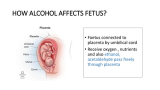 Alcohol And Fetal Development Concerns
