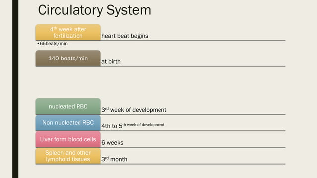Fetal and neonatal physiology | PDF
