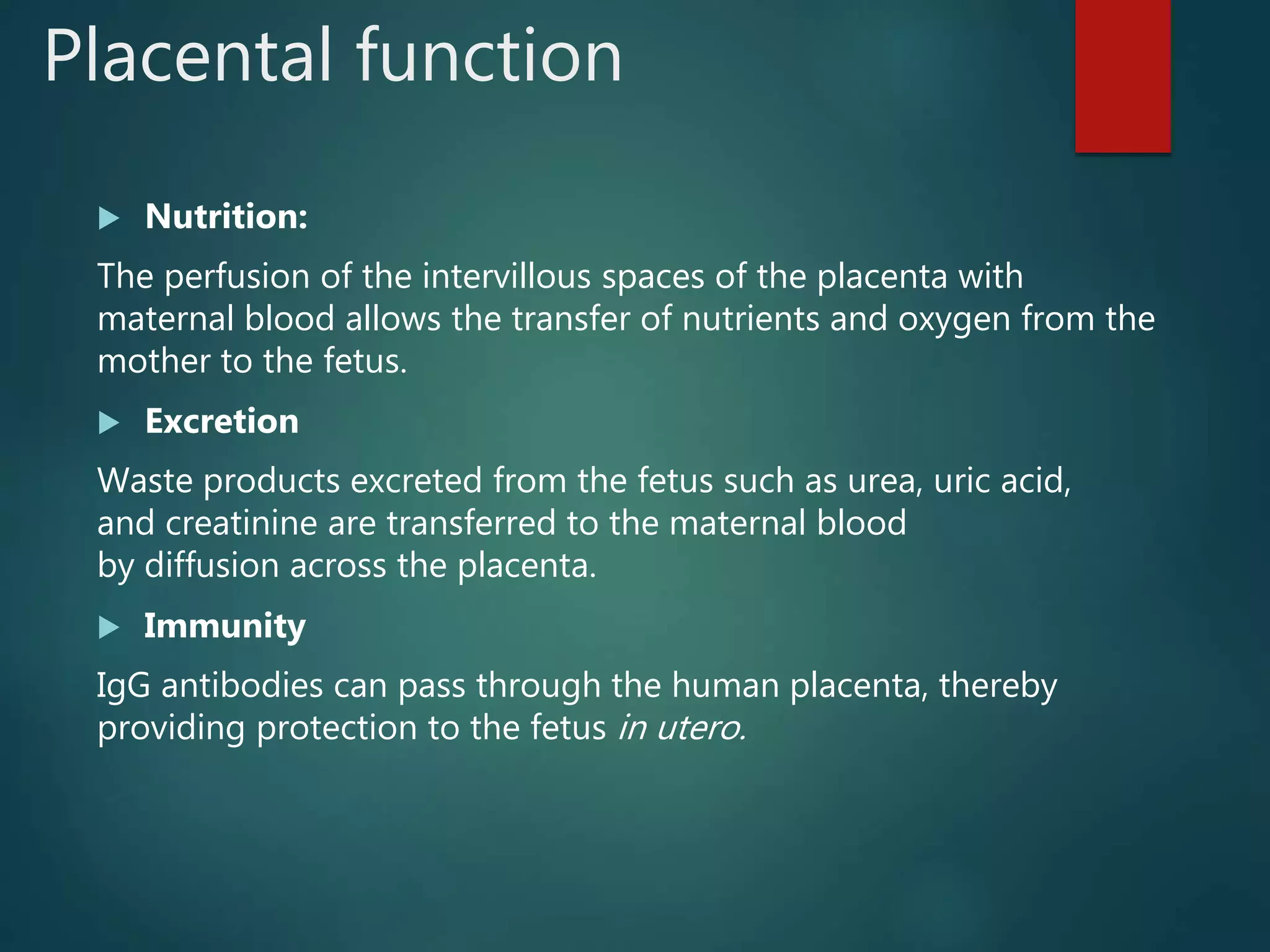 Fetal and neonatal physiology | PPTX | Pregnancy | Reproductive Health
