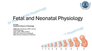 Fetal and Neonatal Physiology - Dr Faiza.pdf