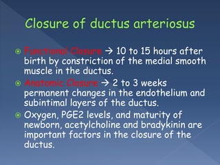  Functional Closure  10 to 15 hours after
birth by constriction of the medial smooth
muscle in the ductus.
 Anatomic Closure  2 to 3 weeks
permanent changes in the endothelium and
subintimal layers of the ductus.
 Oxygen, PGE2 levels, and maturity of
newborn, acetylcholine and bradykinin are
important factors in the closure of the
ductus.
 