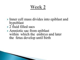 Fetal and placental development (1).pptx