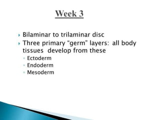 Fetal and placental development (1).pptx