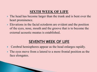 Fetal and placental development (1).pptx