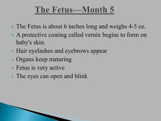 Fetal and placental development (1).pptx