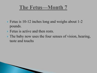 Fetal and placental development (1).pptx