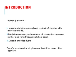 Fetal and placental development (1).pptx