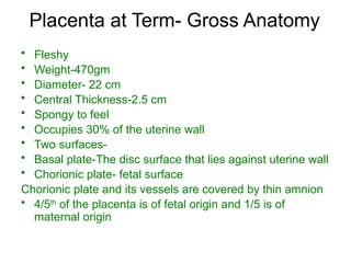 Fetal and placental development (1).pptx