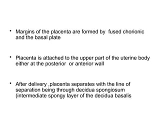 Fetal and placental development (1).pptx