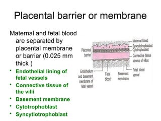 Fetal and placental development (1).pptx