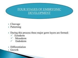 Fetal and placental development (1).pptx