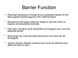 Fetal and placental development (1).pptx
