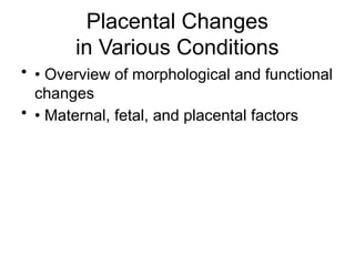 Fetal and placental development (1).pptx