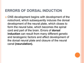 ERRORS OF DORSAL INDUCTION
 CNS development begins with development of the
notochord, which subsequently induces the dorsal
development of the neural plate, which closes to
form the neural tube, which becomes the spinal
cord and part of the brain. Errors of dorsal
induction can result from many different genetic
and teratogenic factors and affect development of
the dorsal neural plate and closure of the neural
canal (neurulation).
 