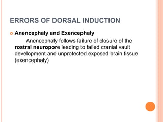 ERRORS OF DORSAL INDUCTION
 Anencephaly and Exencephaly
Anencephaly follows failure of closure of the
rostral neuropore leading to failed cranial vault
development and unprotected exposed brain tissue
(exencephaly)
 
