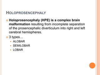 HOLOPROSENCEPHALY
 Holoprosencephaly (HPE) is a complex brain
malformation resulting from incomplete separation
of the prosencephalic diverticulum into right and left
cerebral hemispheres.
 3 types…
 ALOBAR
 SEMILOBAR
 LOBAR
 
