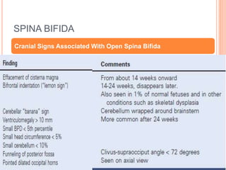 SPINA BIFIDA
Cranial Signs Associated With Open Spina Bifida
 