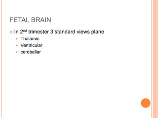 FETAL BRAIN
 In 2nd trimester 3 standard views plane
 Thalamic
 Ventricular
 cerebellar
 