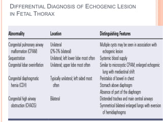 DIFFERENTIAL DIAGNOSIS OF ECHOGENIC LESION
IN FETAL THORAX
 