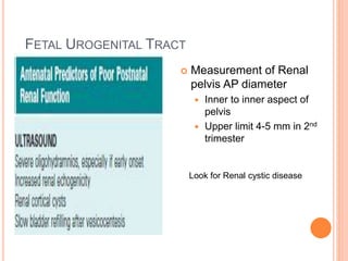FETAL UROGENITAL TRACT
 Measurement of Renal
pelvis AP diameter
 Inner to inner aspect of
pelvis
 Upper limit 4-5 mm in 2nd
trimester
Look for Renal cystic disease
 