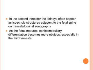  In the second trimester the kidneys often appear
as isoechoic structures adjacent to the fetal spine
on transabdominal sonography
 As the fetus matures, corticomedullary
differentiation becomes more obvious, especially in
the third trimester
 